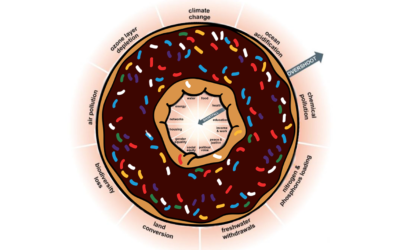 The Doughnut Economy: How Could This System Help Humanity Thrive in the 21st Century?